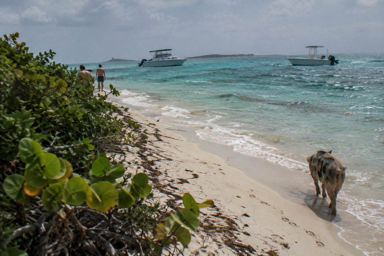 Turquoise shallow water around a small uninhabited cay with a sandy beach and anchored boats