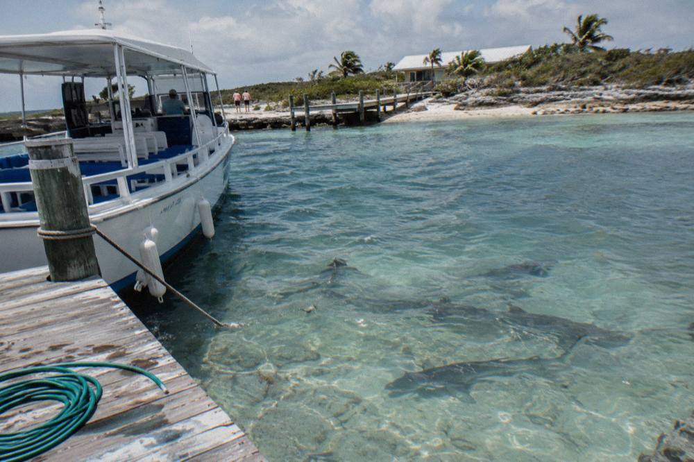 A tour boat tied at a wooden dock with clear shallow water and small cays in the distance