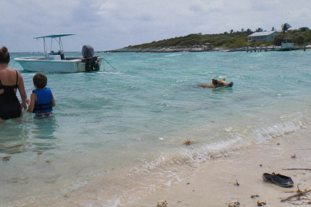 A speedboat anchored beside a sandbar with guests wading in shallow clear water