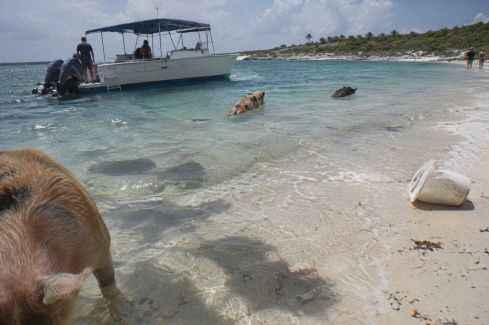 A tour boat anchored in clear shallow water beside a pale sandbar at midday