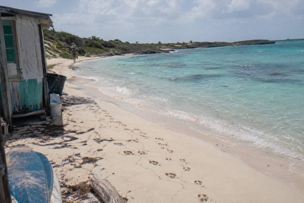 A sandy beach shoreline on a small cay with clear shallow water and no people