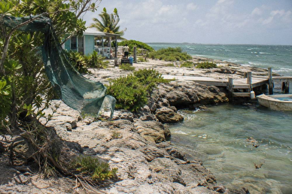 A low limestone shoreline with calm green water and scattered coastal shrubs under a wide sky