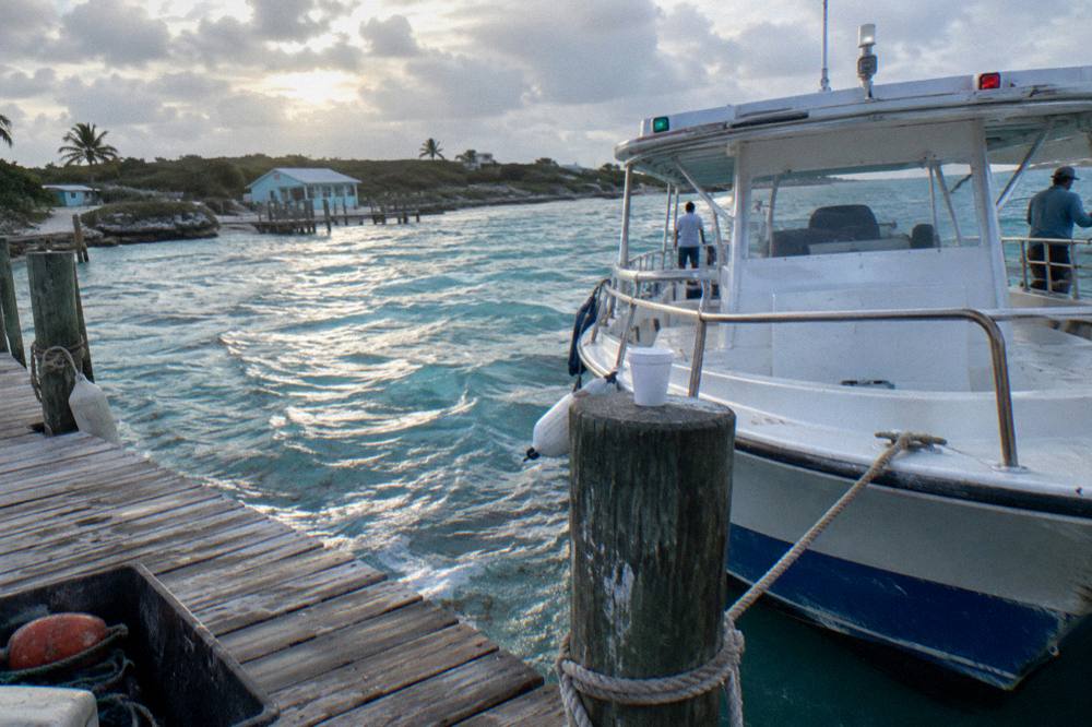 A tour boat tied at a dock at sunrise before departure