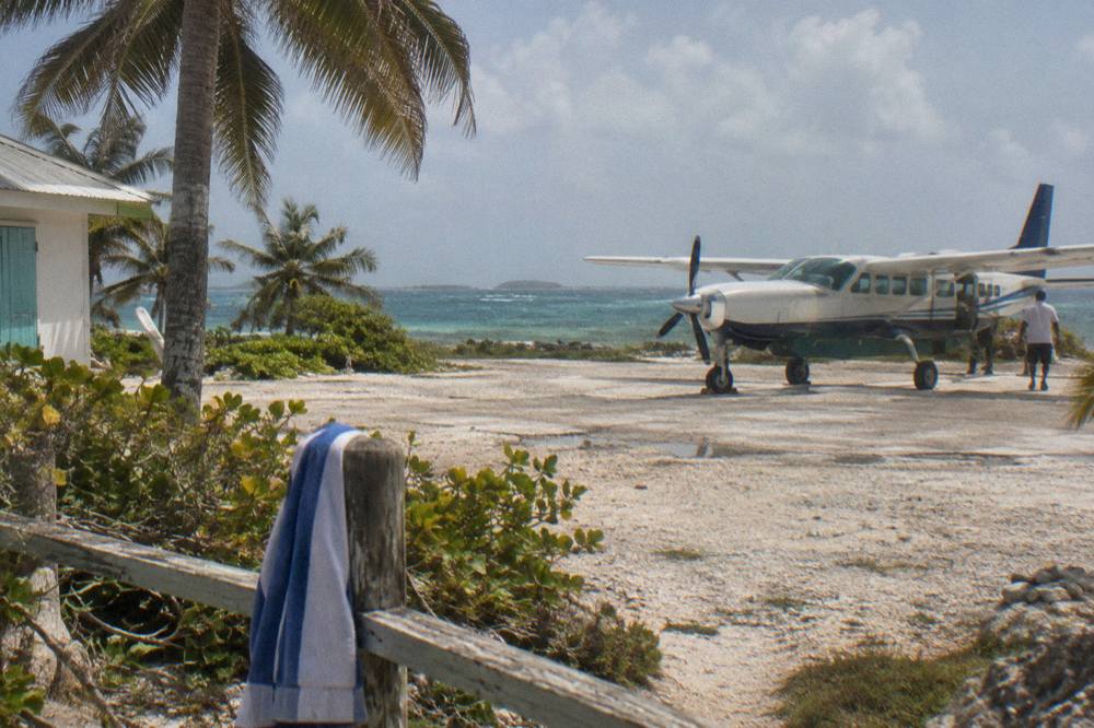 A small turboprop aircraft parked on a sunlit airstrip beside palm trees