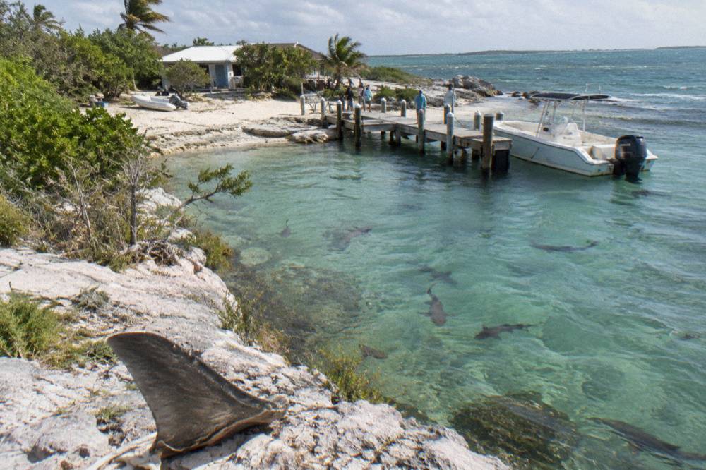 Small sandy cay with clear shallow water and a boat anchored offshore