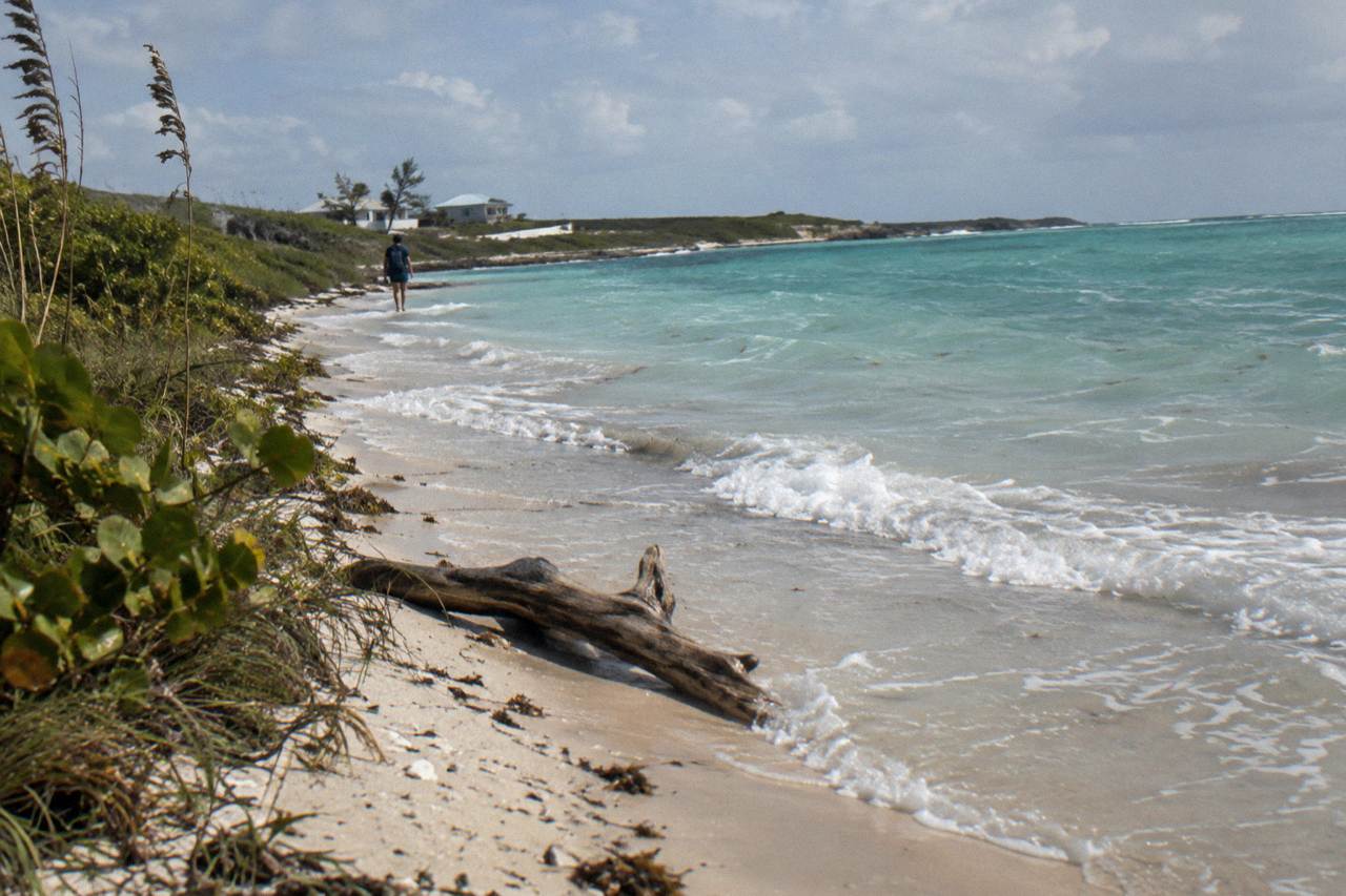 Calm turquoise shallows along a sandy Exuma shoreline with low green scrub
