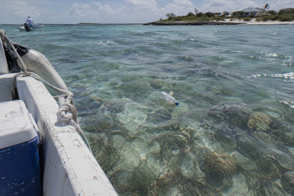 Clear shallow water over seagrass and coral beside a protected cay shoreline