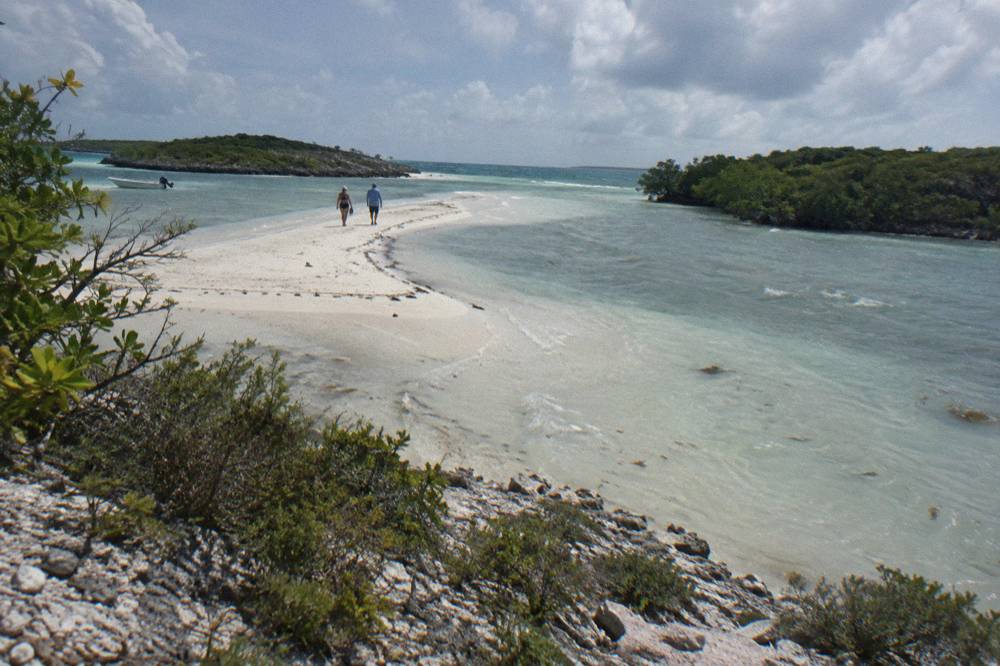A white sandbar curving into clear shallow water between two low green cays