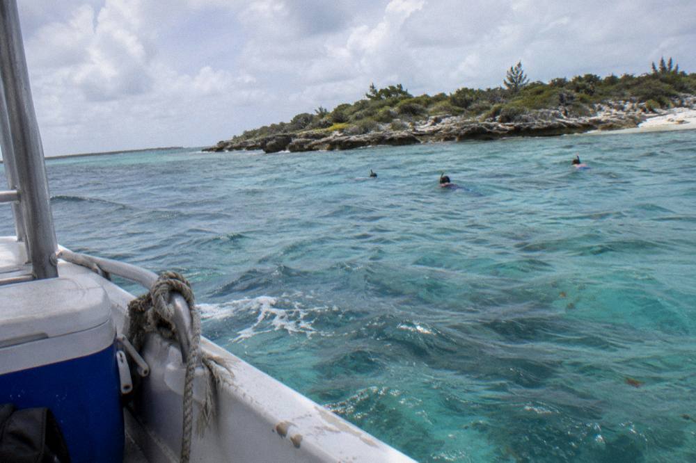Snorkellers floating in calm clear water near a small rocky cay