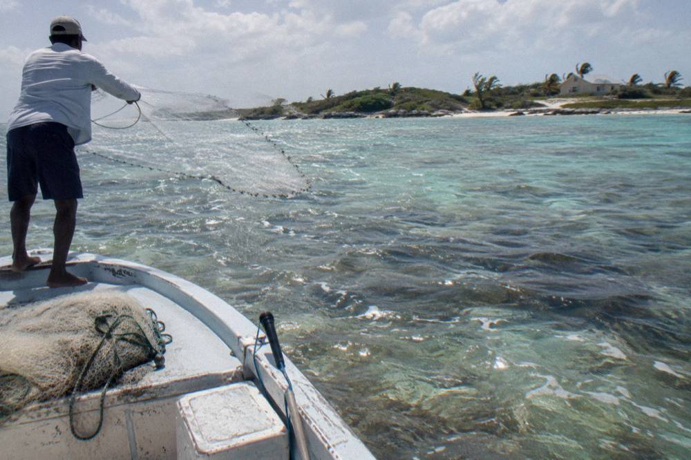 Small skiff angler casting toward a shallow flat under a bright sky