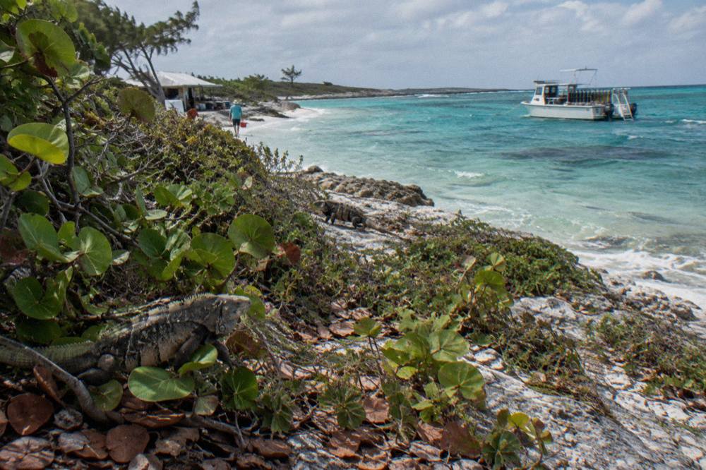 A boat anchored beside a small limestone cay with clear turquoise water