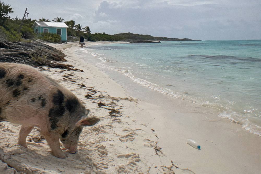 Empty white sand beach and clear shallow water at a Bahamian cay in soft morning light