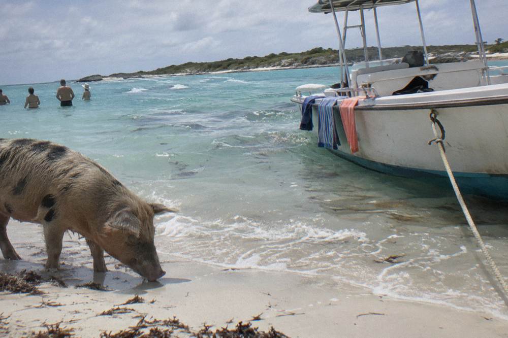 Visitors standing in shallow clear water near a tour boat beside a sandbar